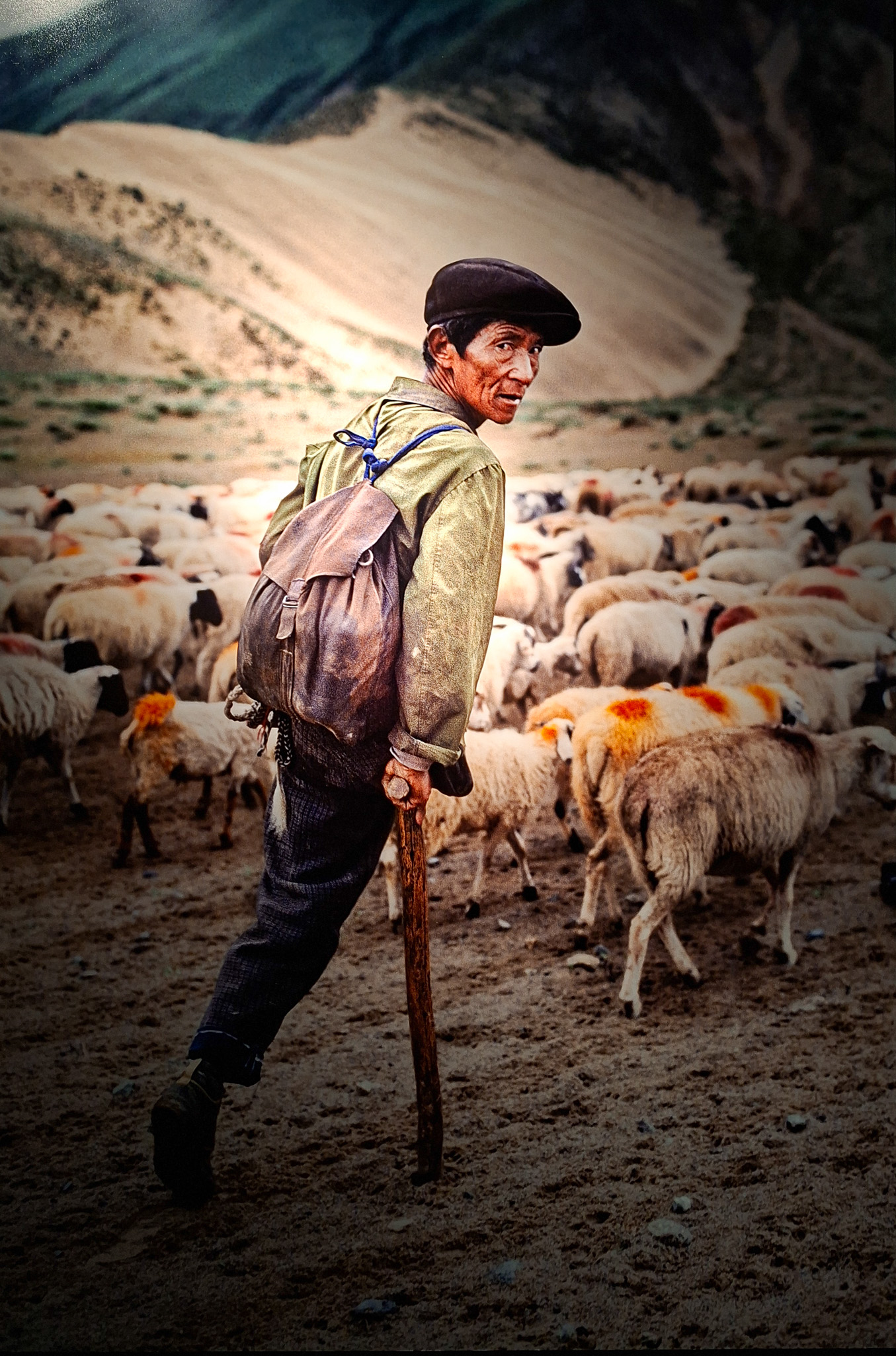 Móvil 20260613 Steve McCurry 102